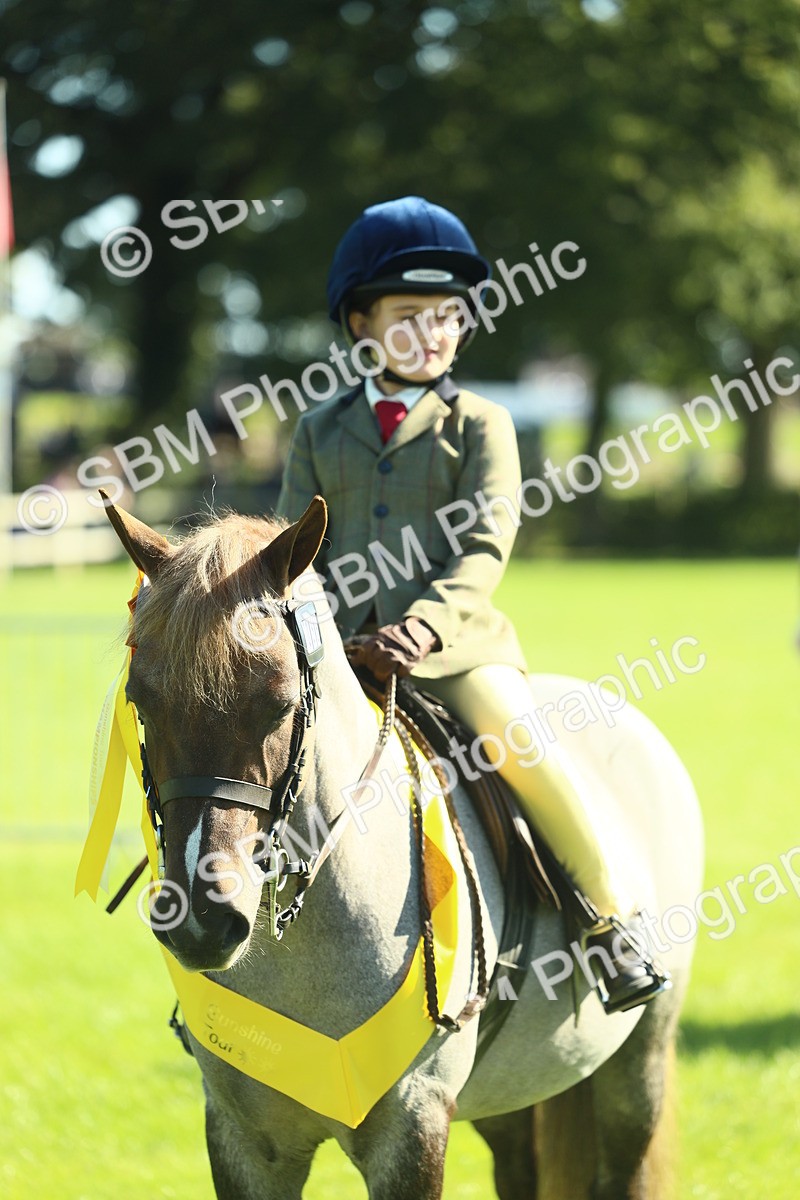 SBM_39068 - S29 - Novice & Newcomers Working Hunter Pony