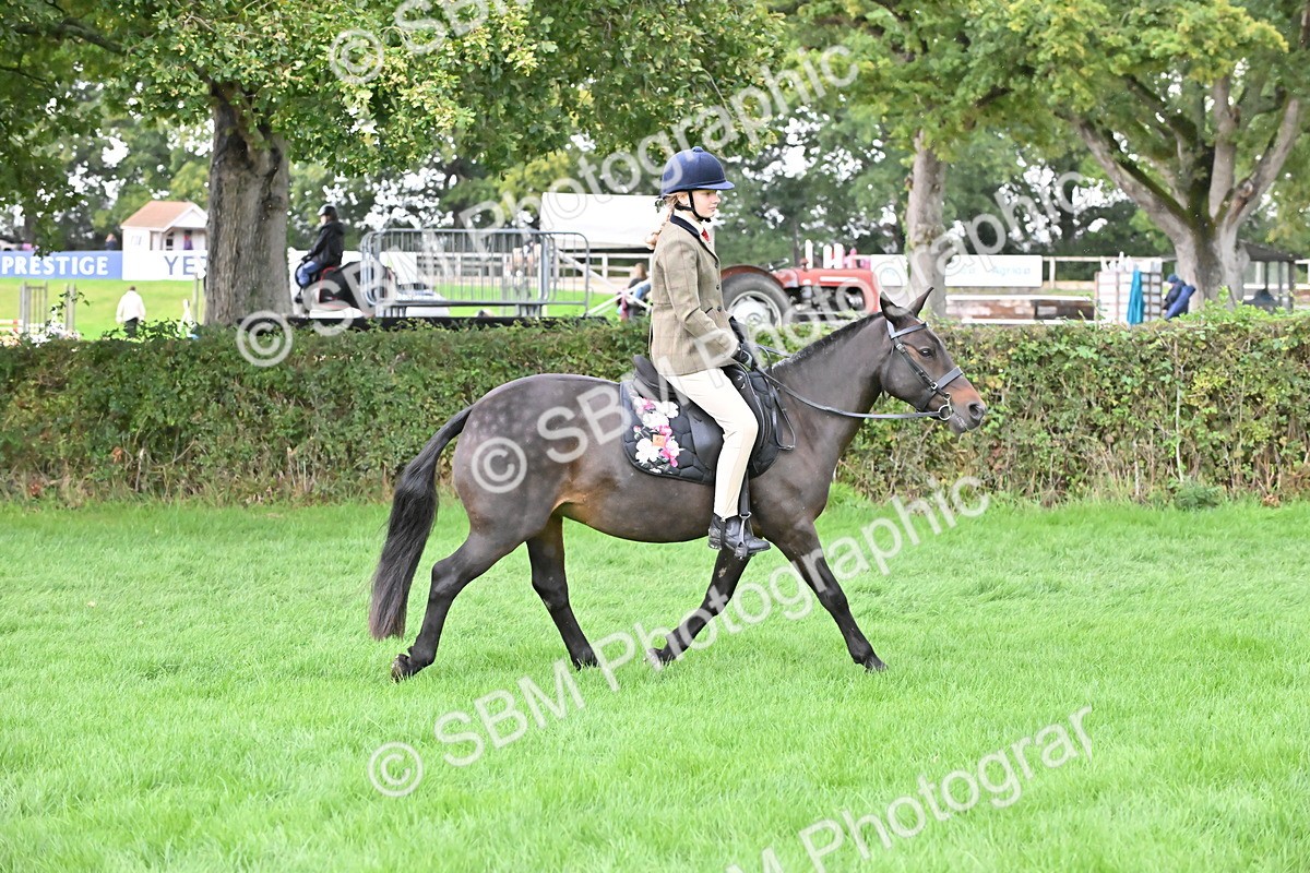 SBM_42933 - S12 - Family Horse & Pony