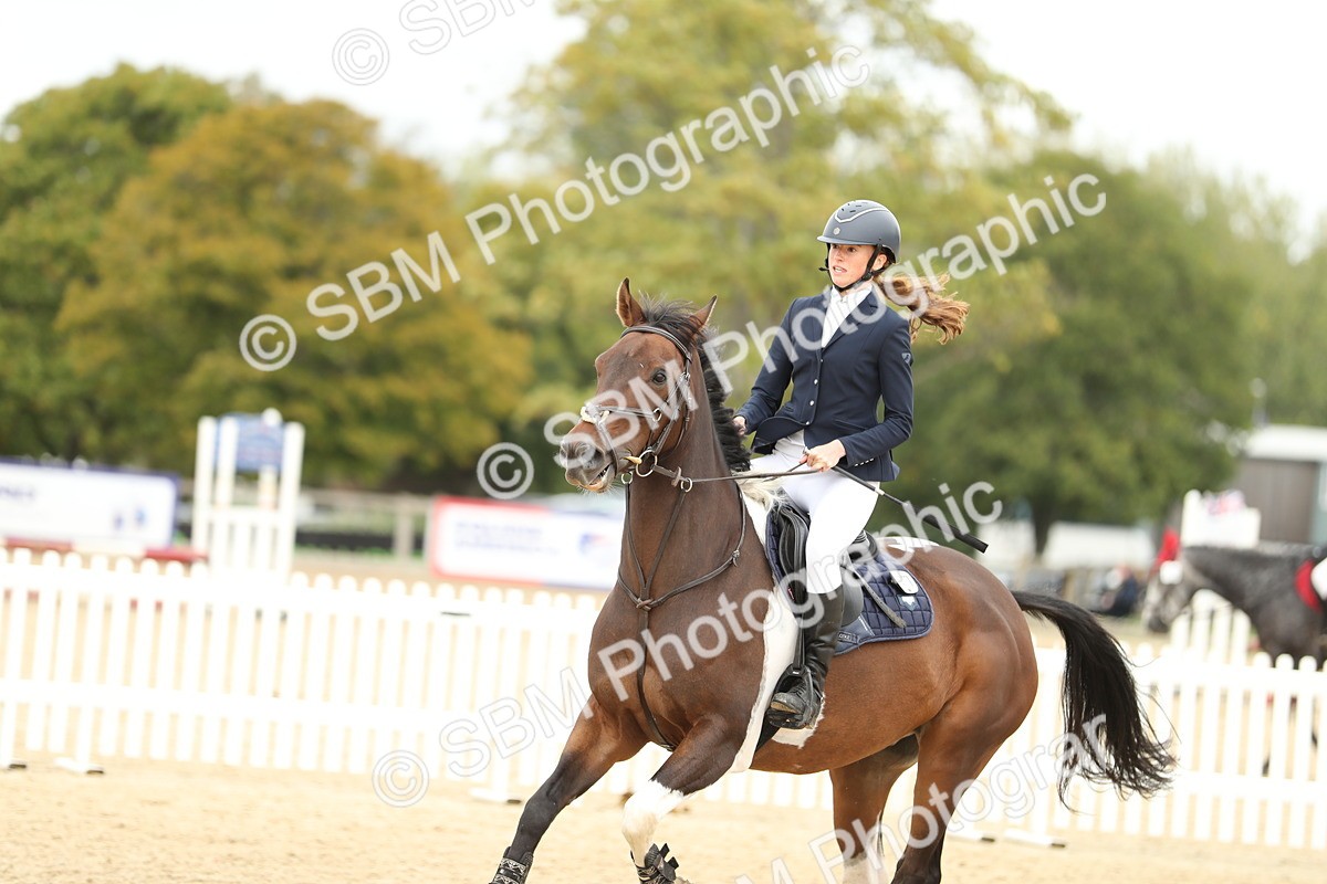 SBM_66002 - J48 - Pairs Jumping Open 70cm & 85cm