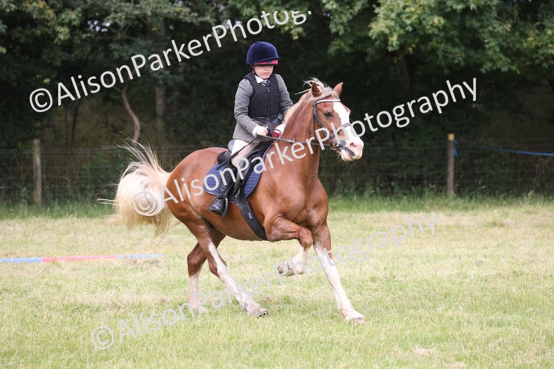 20260614-4163 - Class 24 - Mini and Major Pairs Jumping