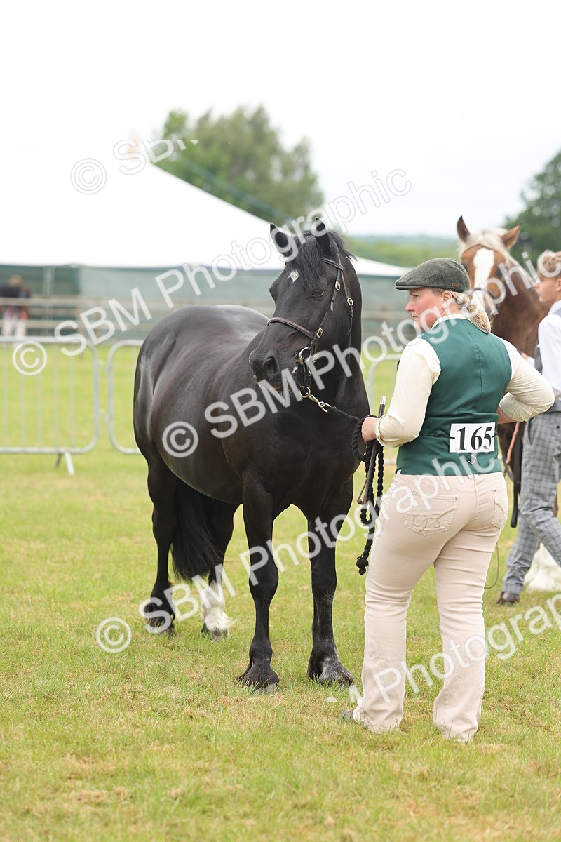 SBM_04909 - Class 50-57 - M&M Welsh Pony In Hand