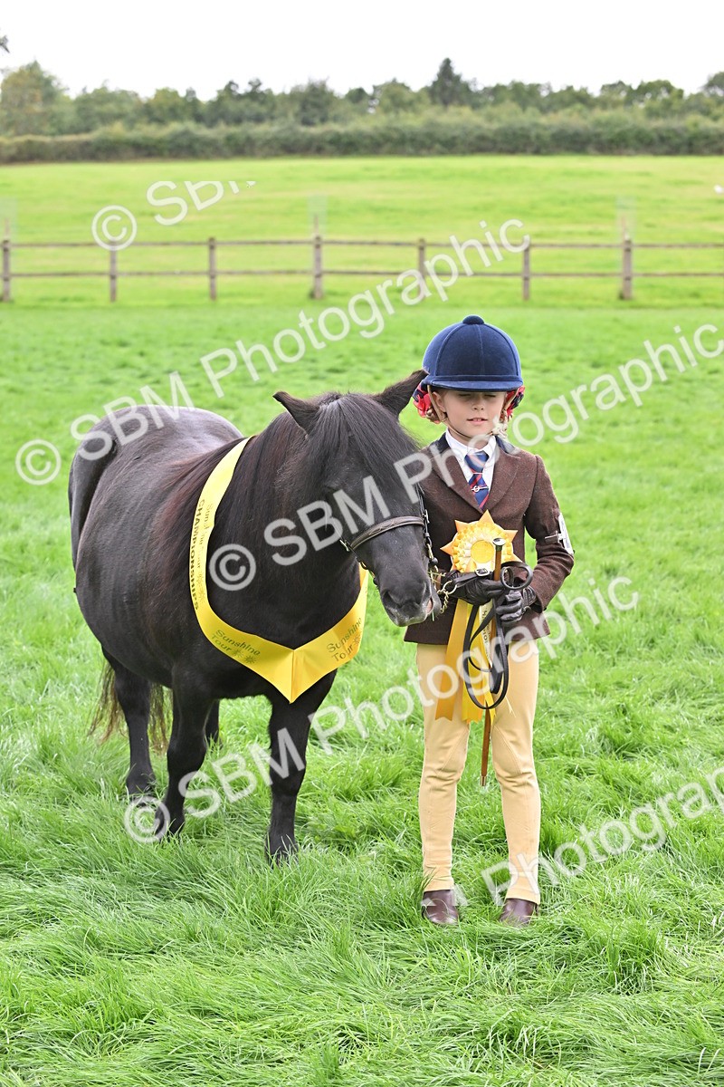 SBM_66807 - S41 - Junior Handler 8 Years & Under