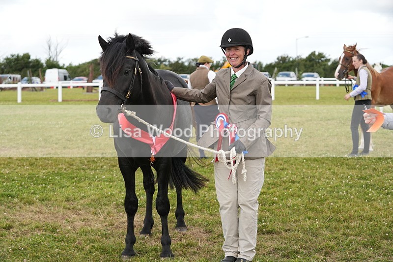 DSC05984 - NPS M&M In Hand Championship