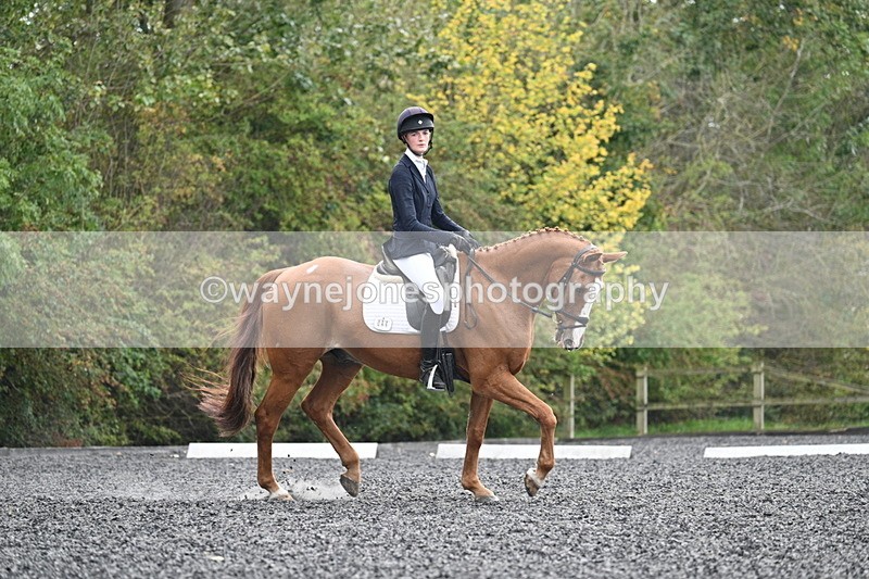 WJ7_6747 - Time 14:49 to 15:14