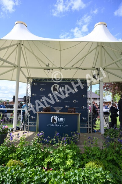 yr12052022r5-33 - Race 5 4.10pm British Stallion Studs EBF Westow Stakes