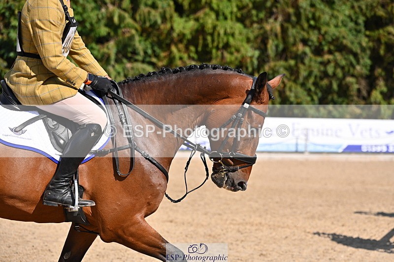 250802A-163736-08112 - I-406-James.Trevatt-NOGGOROO