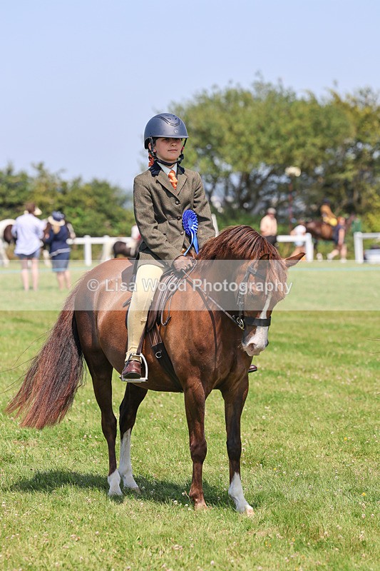 IMG_3046 - M&M Mini Ridden Championship