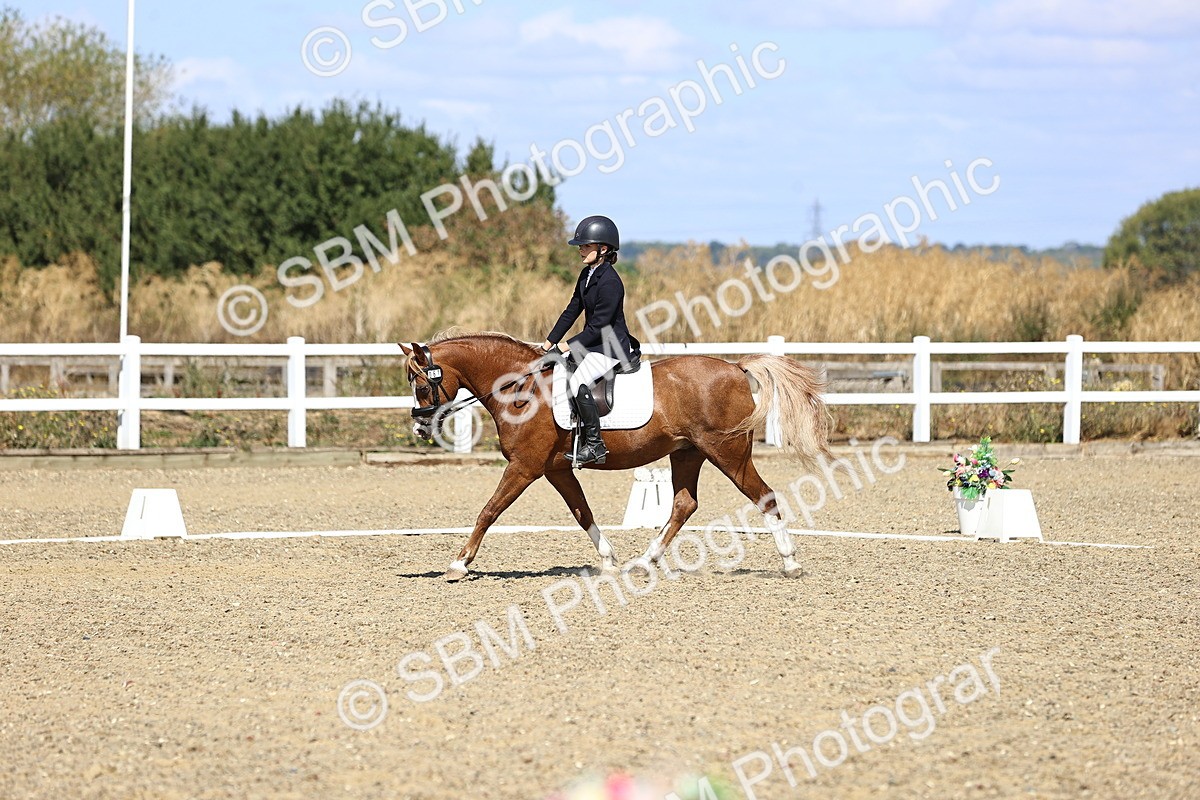 SBM_013853