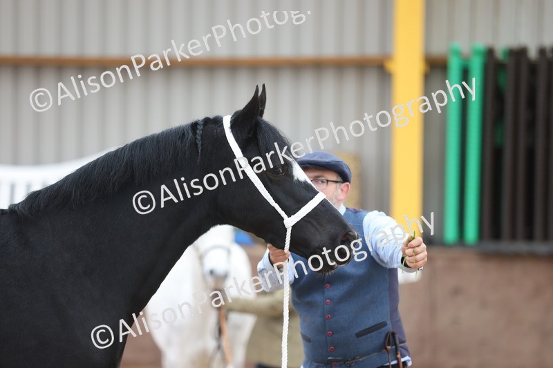 20251109-0956 - Class 26 - 2 and 4 Year Olds