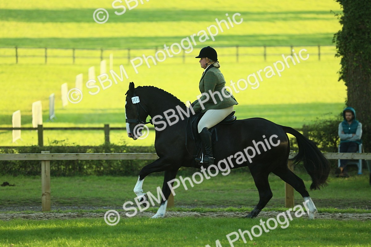 SBM_55644 - S14 - Riding Club Horse