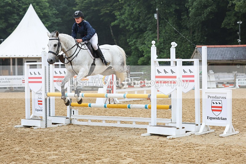 3E7A5248 - Class 4: Senior British Novice/90cm open