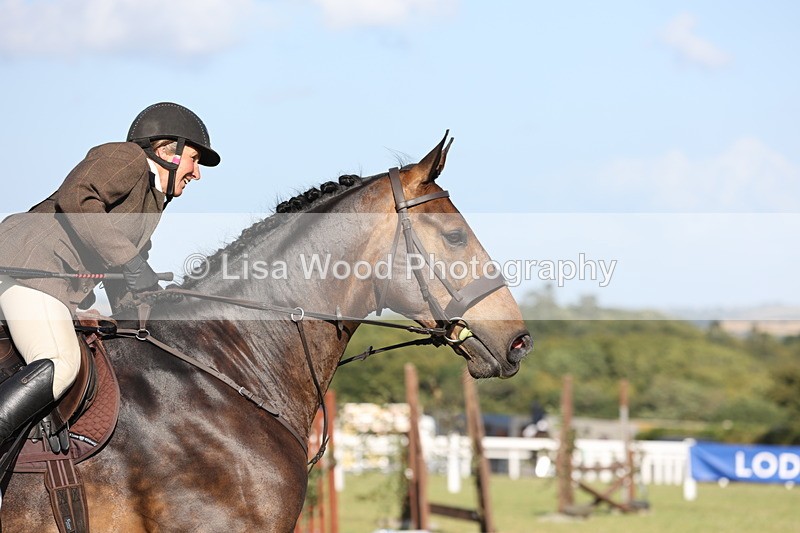 JPP_3083 - Class 21: Working Hunter 80cm