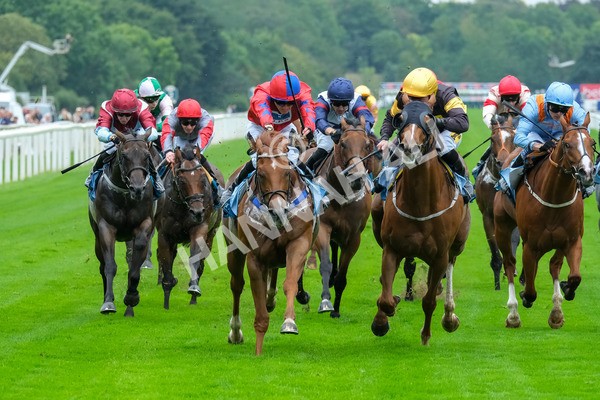 080925-Race 2-Alzahir-7865 - Race 2 3.00pm Sky Bet Super Sub Sprint Handicap