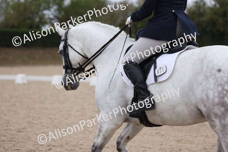 20250820-1167 - Class 17 - Elementary 4