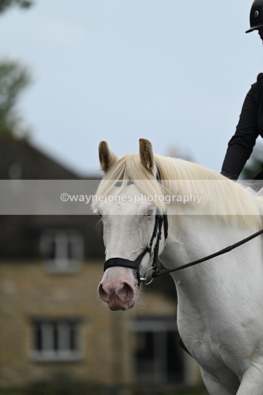 WJ7_2854 - Time 09:00 to 09:35