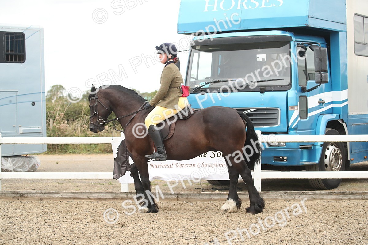 SBM_18367 - Class 509B - Working Veteran - 80cm (20+)