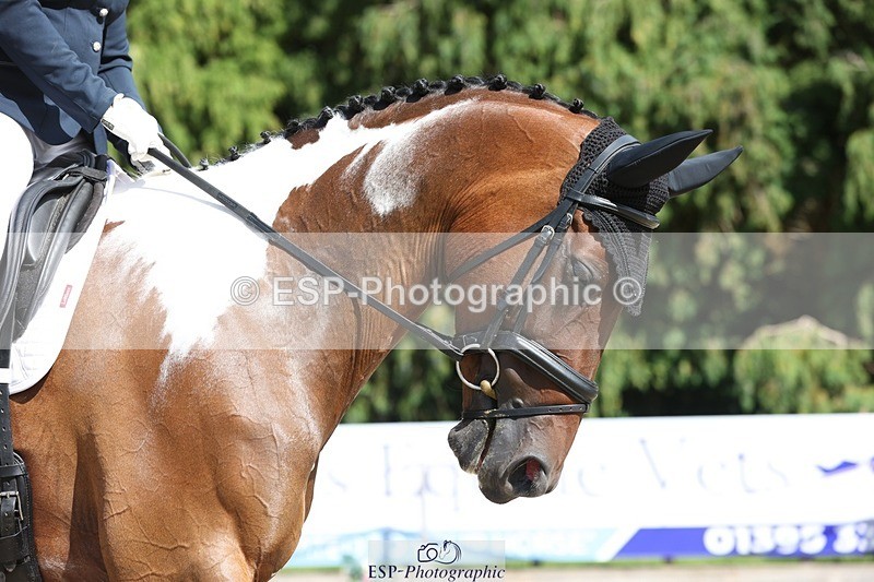 230811-153506-02475 - Cls 1 Prelim Bronze 15.00 to End