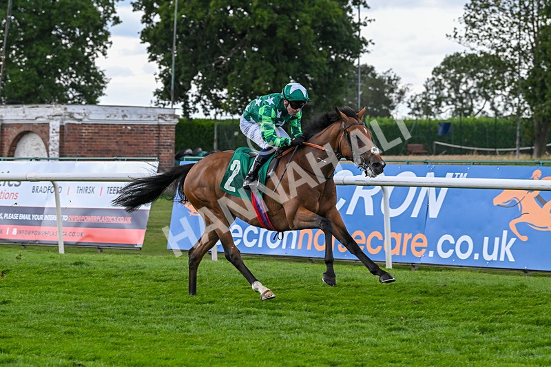 080825-Race 5-Paddy The Squire-2677 - Race 5