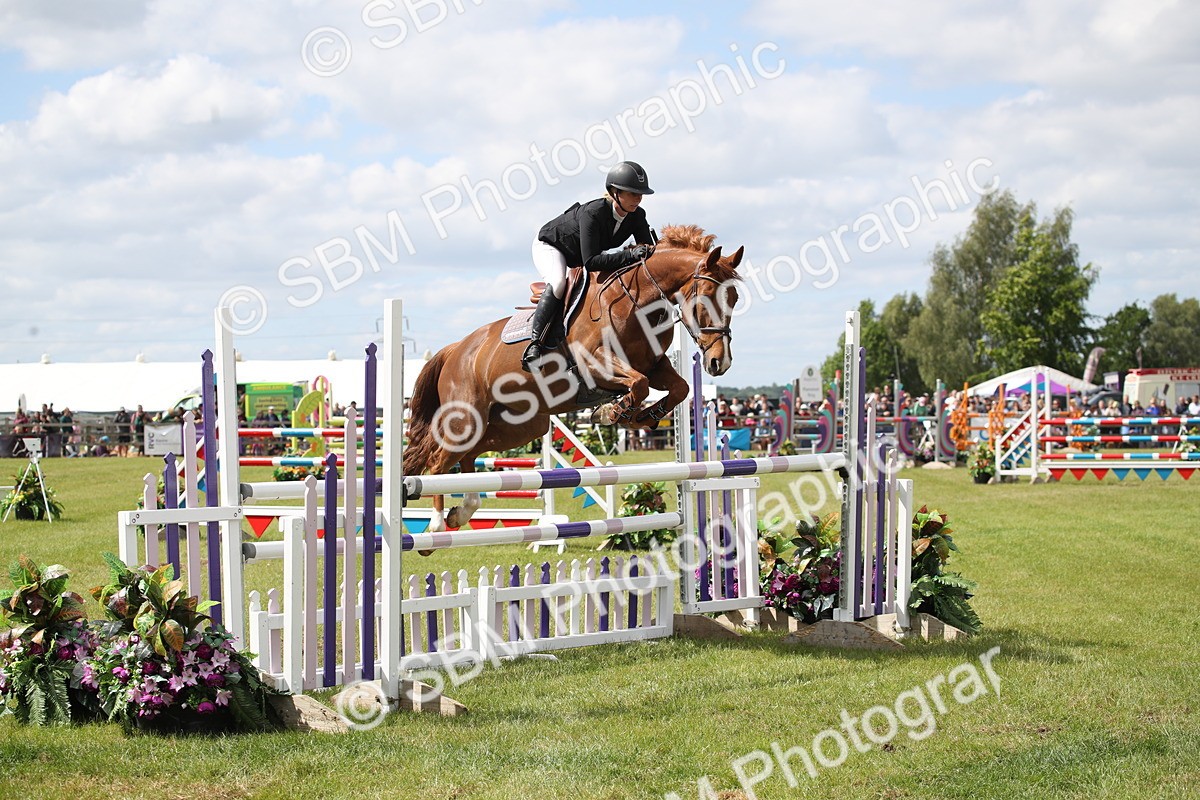 SBM_17476 - Class 208 - Senior Foxhunter 1.20m Open