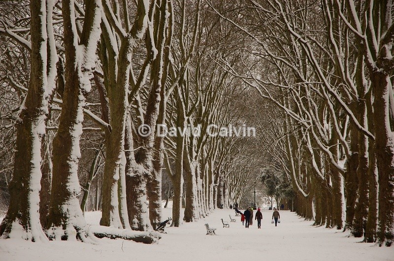 St George Park in the Winter 2 - Winter