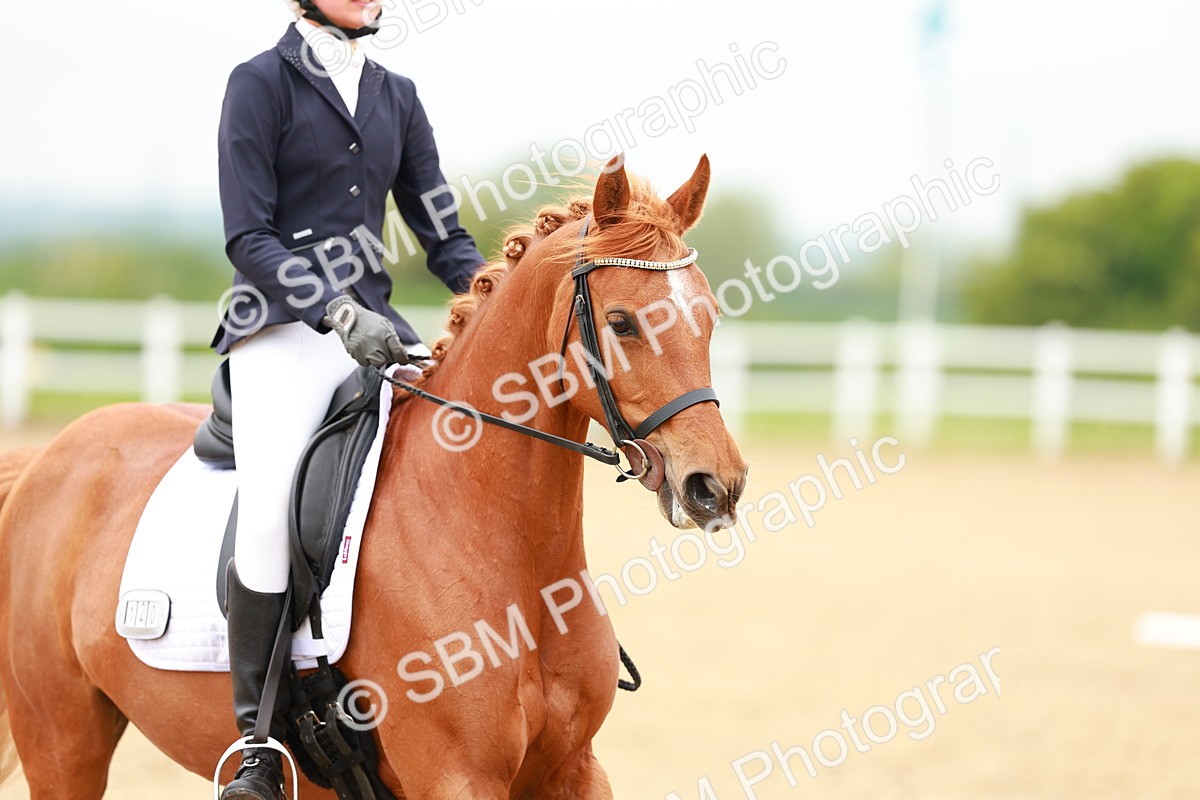 SBM_004699 - Class 15 - Novice 5
