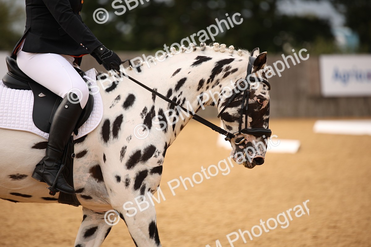SBM_12297 - D3 Small  Tour Championship Intro A