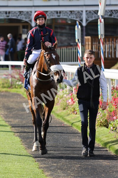 yr23072021r1-36 - Race 1 6.00pm John Wright Electrical Silk Series Lady Riders Handicap