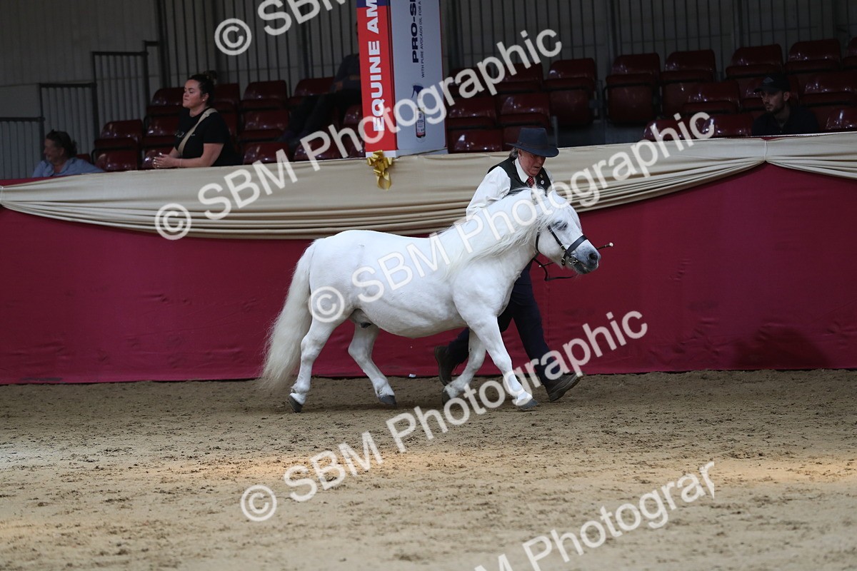 SBM_04917 - Class 8R- Regional -IH Veteran