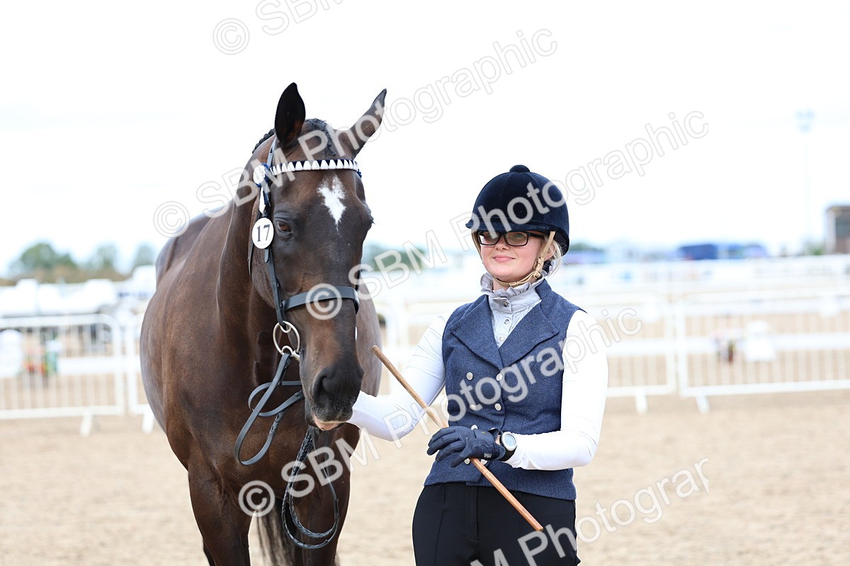 SBM_05760 - Class 28 - IH Veteran Horse