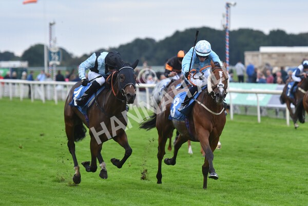 yr24092021r8-23 - Race 8 5.25pm William Hill Build Your Own Odds Apprentice Stakes