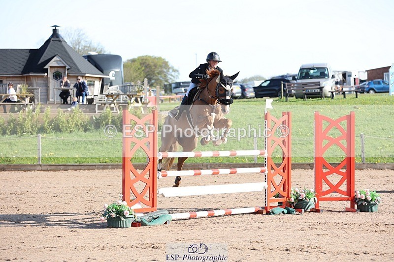 250427-085702-14677 - Cls 28 Young Horse 5yr old