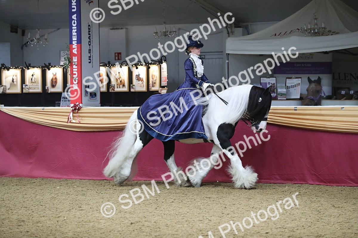 SBM_11984 - Class 106 Ridden Costume- Astride Adult (15-19)
