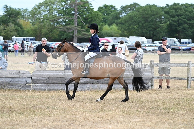 WJ7_7230 - Class 2 Best Rider