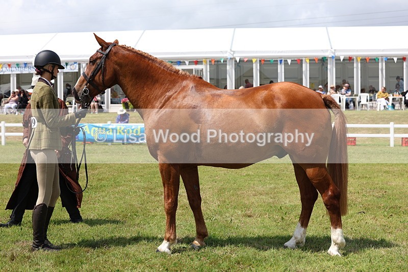 3E7A1660 - Class 9: Open Hunter