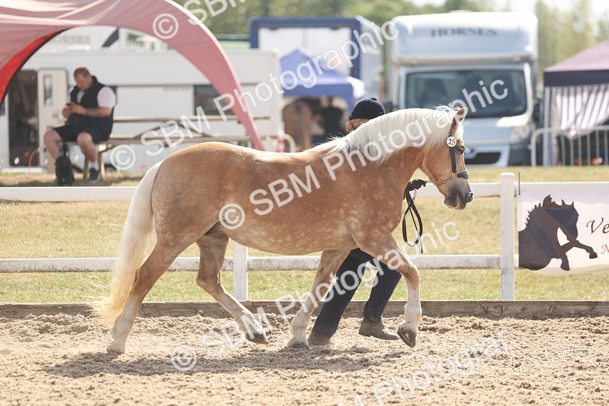 SBM_06828 - Class 25 - IH Foreign Breeds - Purebred