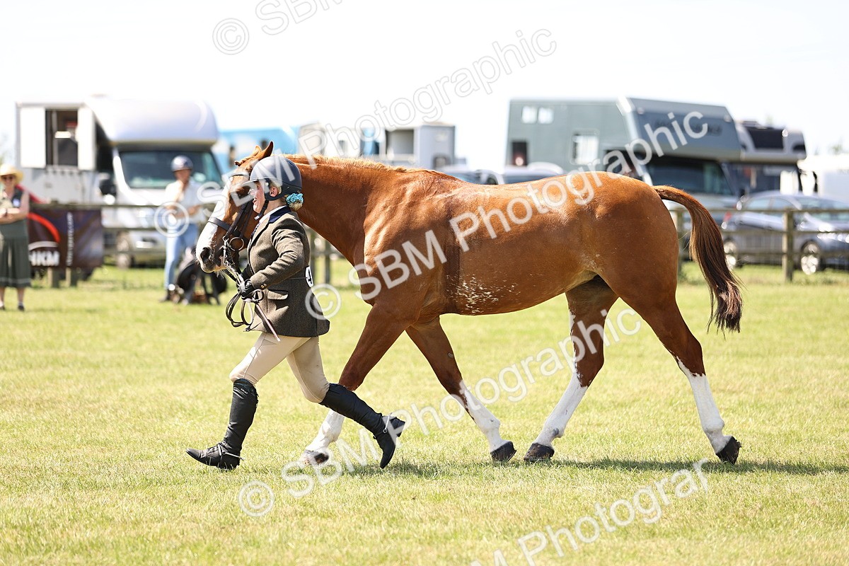 SBM_15227 - Class 79-80 - LIHS BSHA Rising Star Ridden Hunter