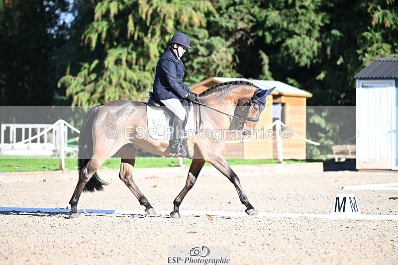 231110-132935-00955 - Cls 4 Novice 39Q