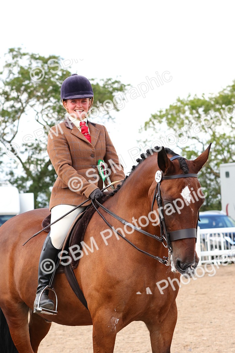 SBM_13578 - Class 212 - Ridden Hunter  - Large