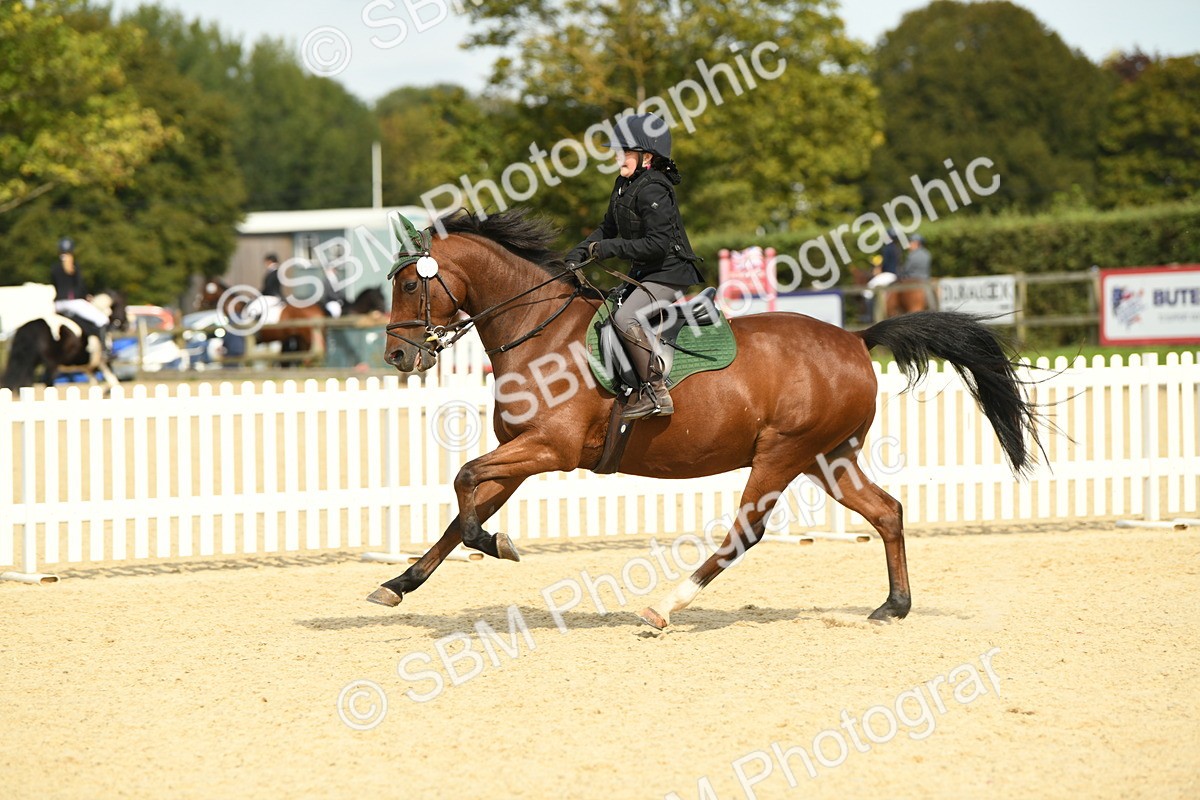 SBM_65047 - J48 - Pairs Jumping Open 70cm & 85cm