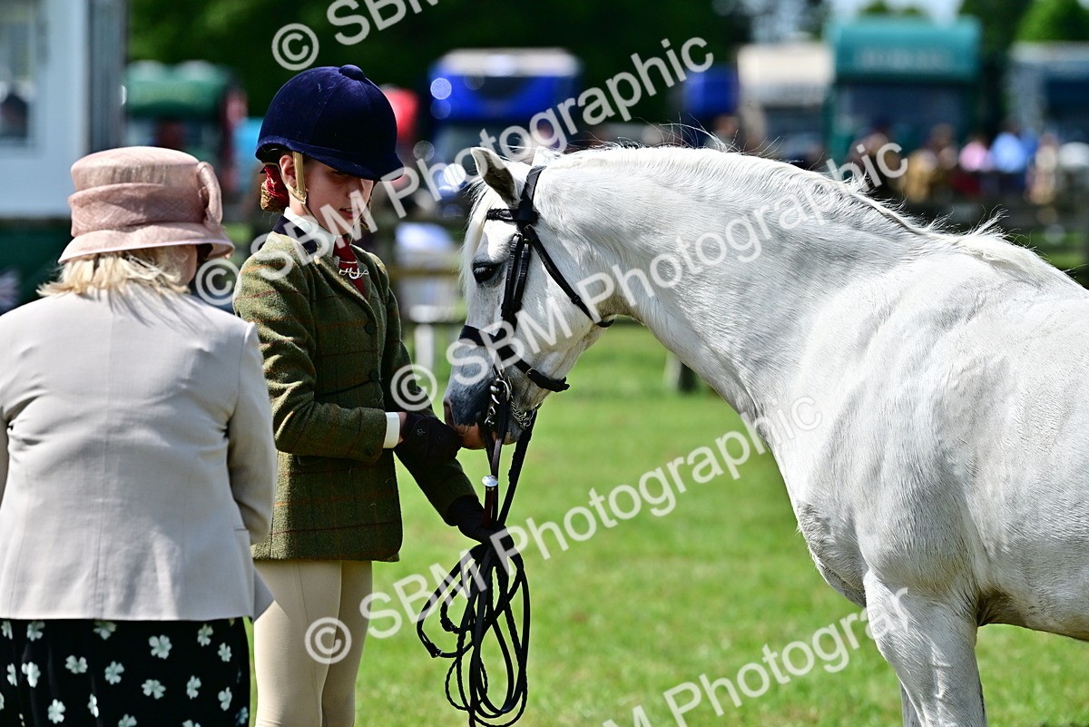 SBM_03895
