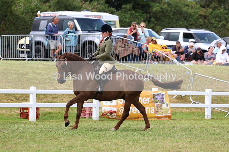 3E7A2512 - Open Ridden Championship