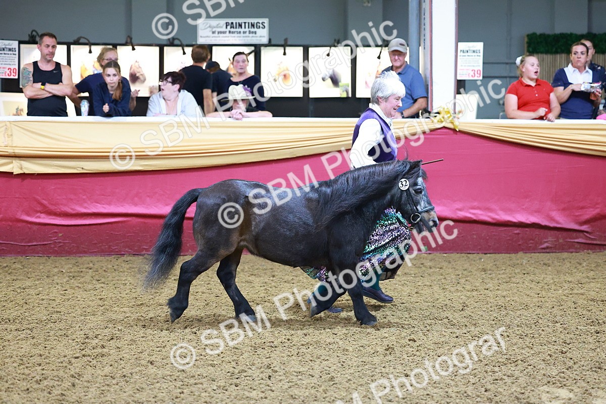 SBM_14707 - Class C - Novelty champ