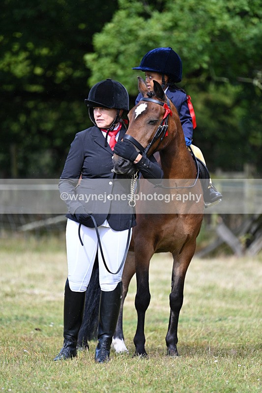 WJ7_4508 - Class 1 Lead Rein Pony