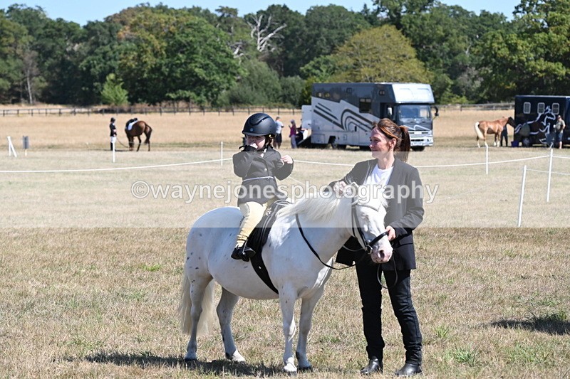 WJ6_8127 - Class 36 Lead Rein