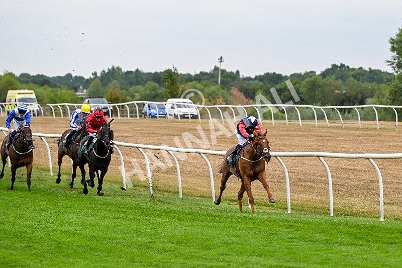 170826-Race 5-Our Absent Friends-9726 - Race 5 16.15pm racingtv.com Handicap
