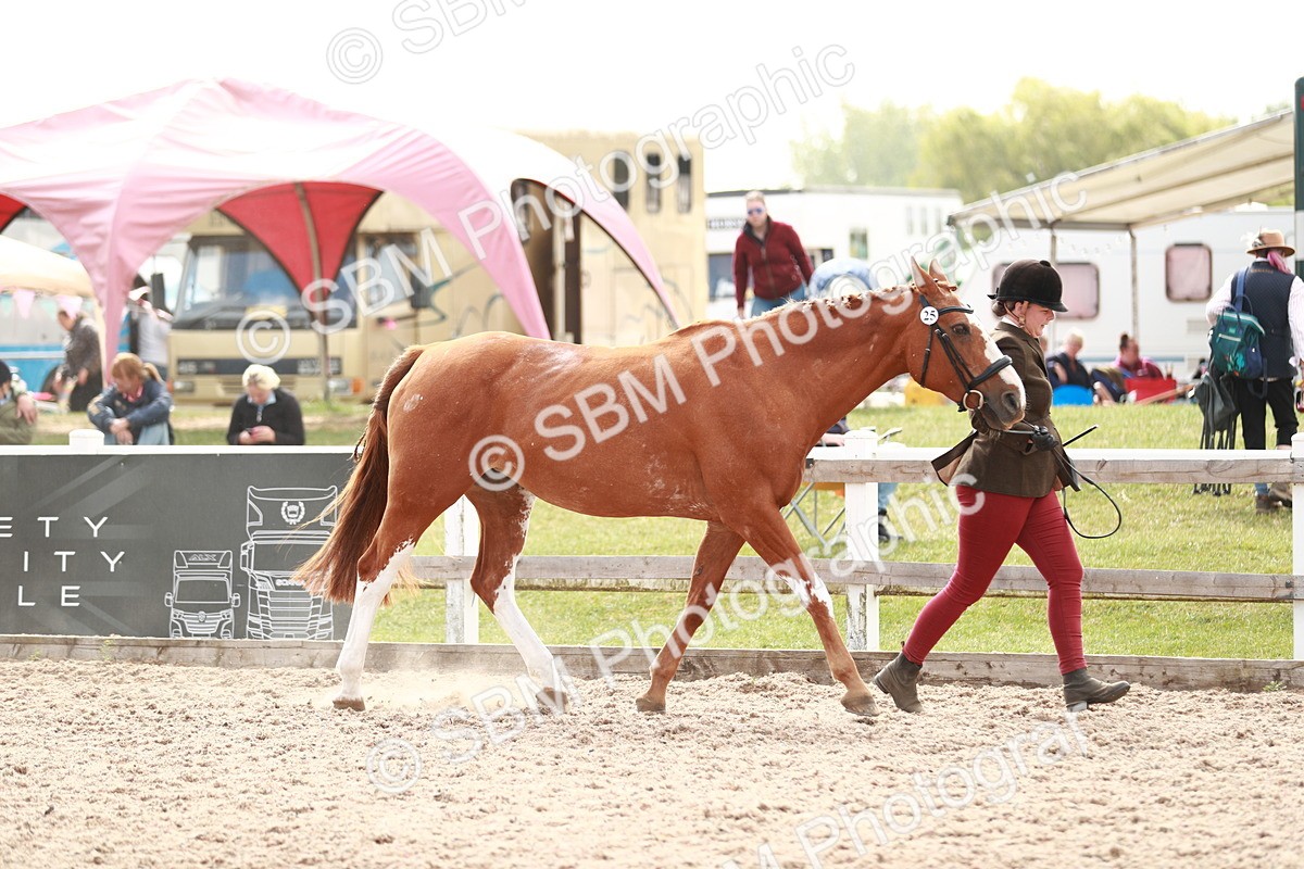 SBM_13210 - Class 208 IH Veteran Horse