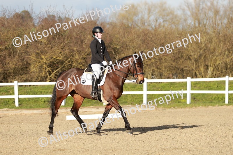 20260314-6246 - CT7 - Elementary 2