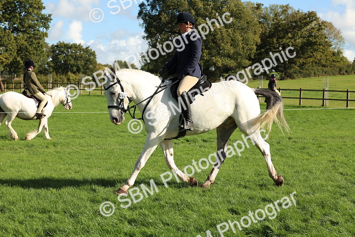 SBM_50090 - S34 - Novice & Newcomers Working Hunter