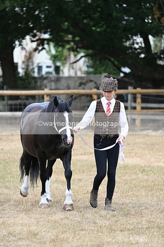 WJ7_8076 - Class 4 Prettiest Mare up to 14.2hh