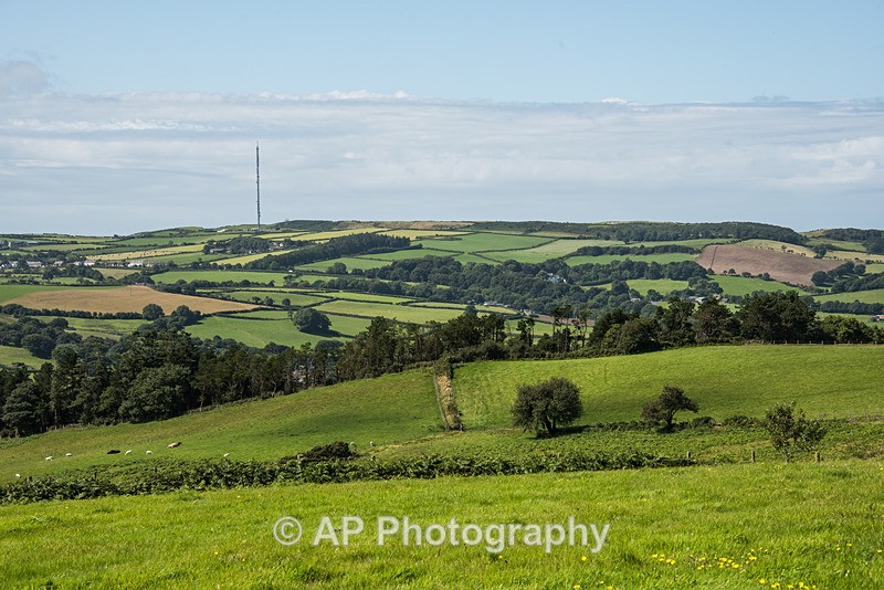ACP_2496-1 - Rural Views